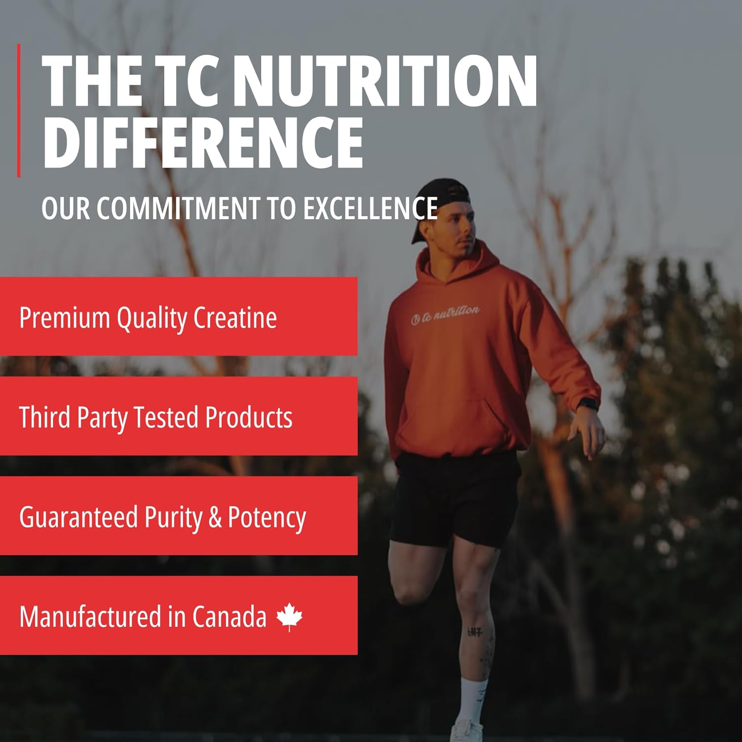 Creatine Monohydrate Powder - 200 Servings