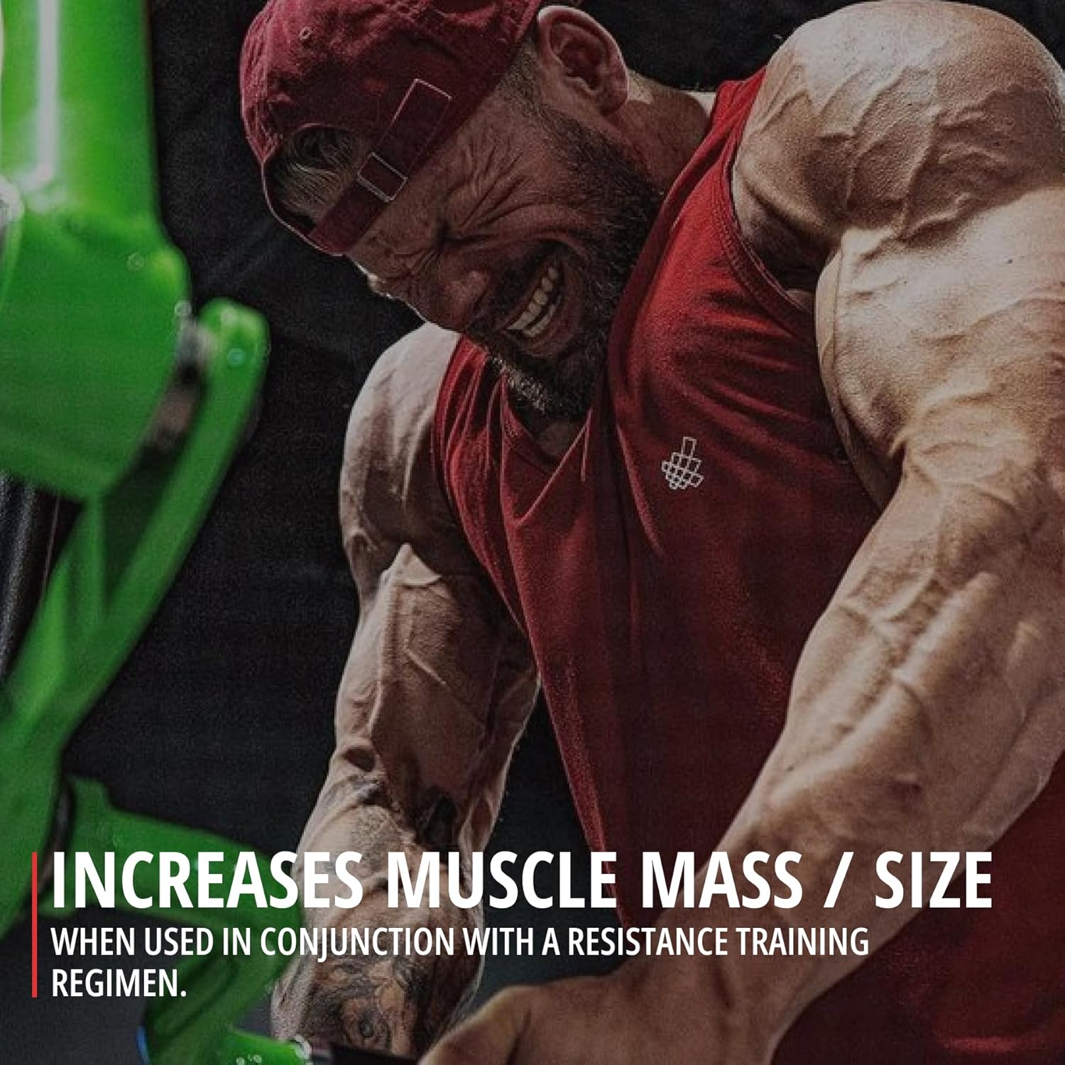 Creatine Monohydrate Powder - 200 Servings