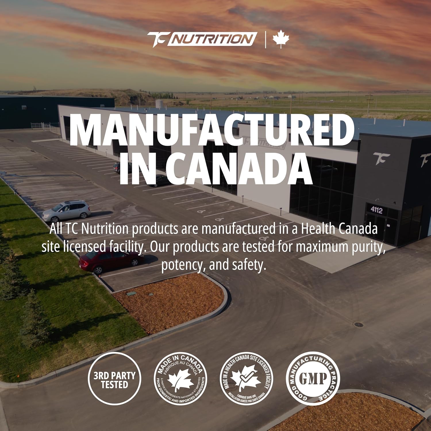 Creatine Monohydrate Powder - 200 Servings